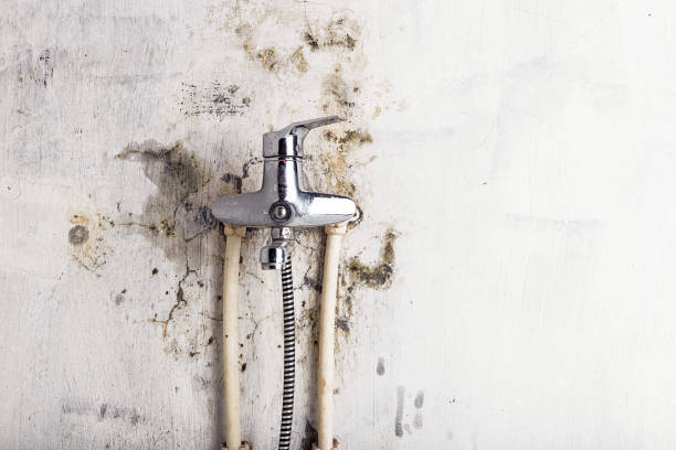 Best Commercial Mold Remediation in Oyster Bay Cove, NY